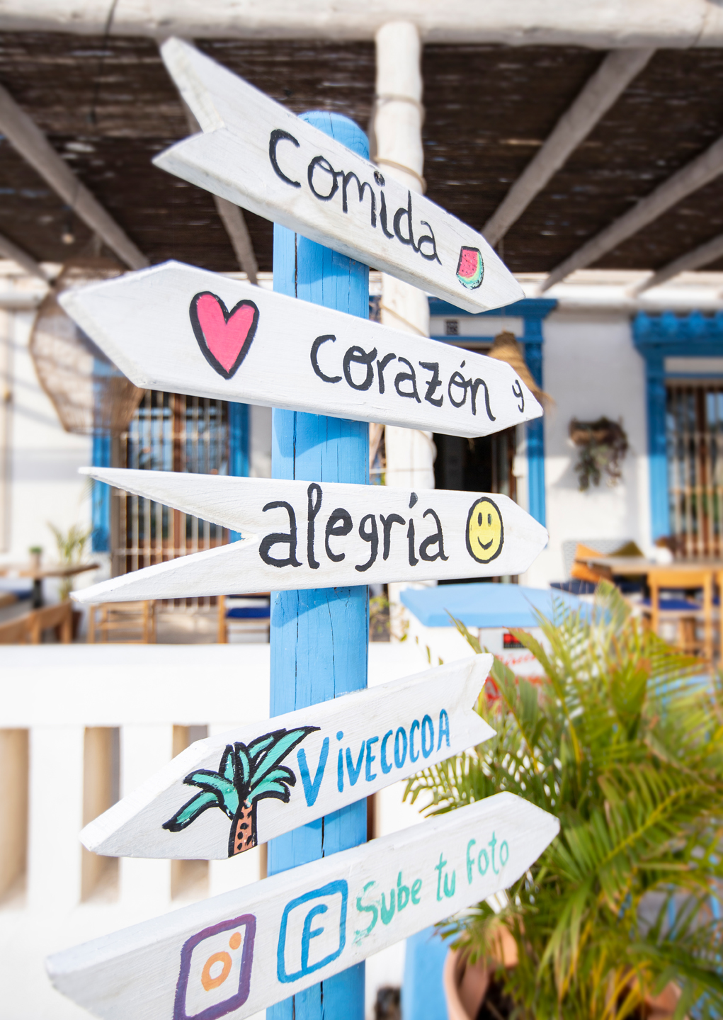 Fotografía de alimentación