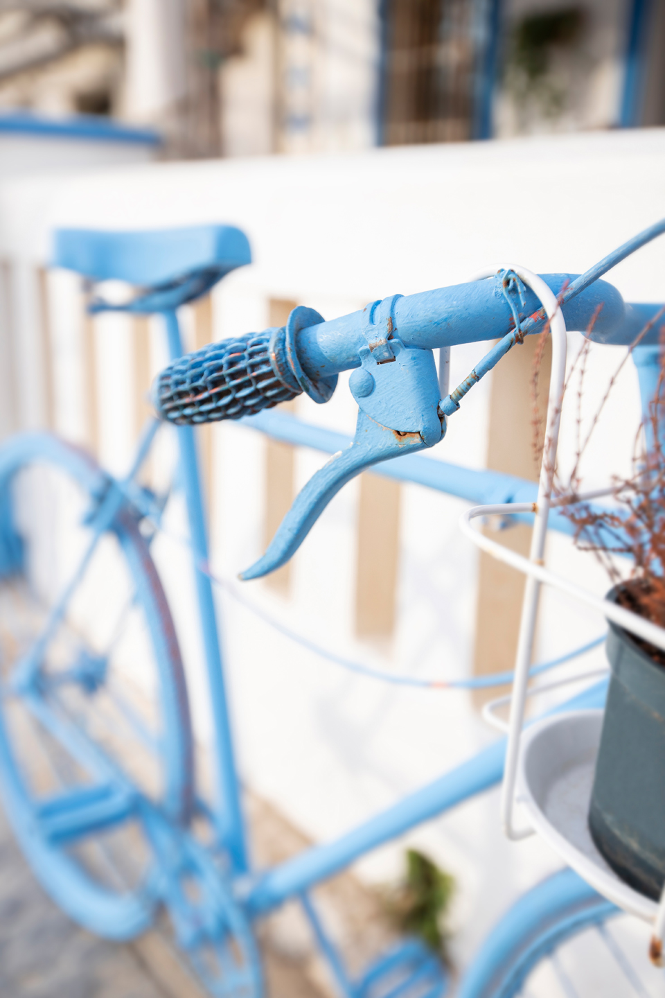 Fotografía de alimentación