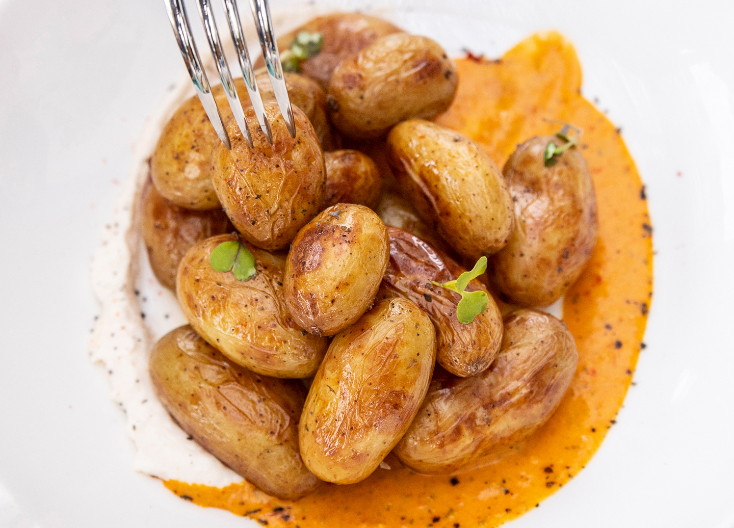 Fotografía de alimentación