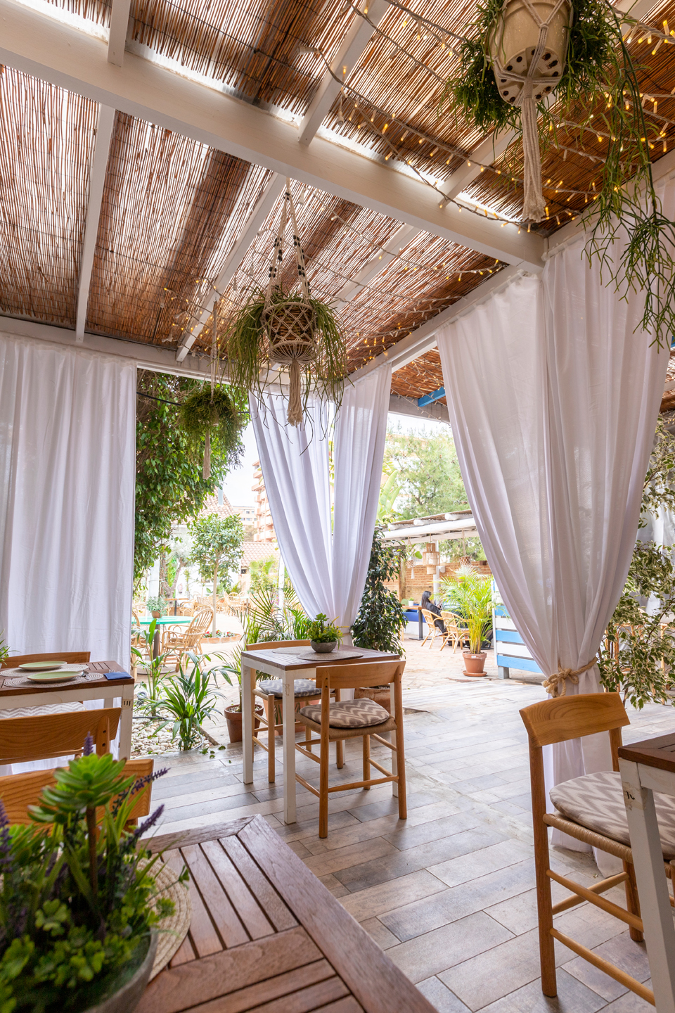 Fotografía de alimentación