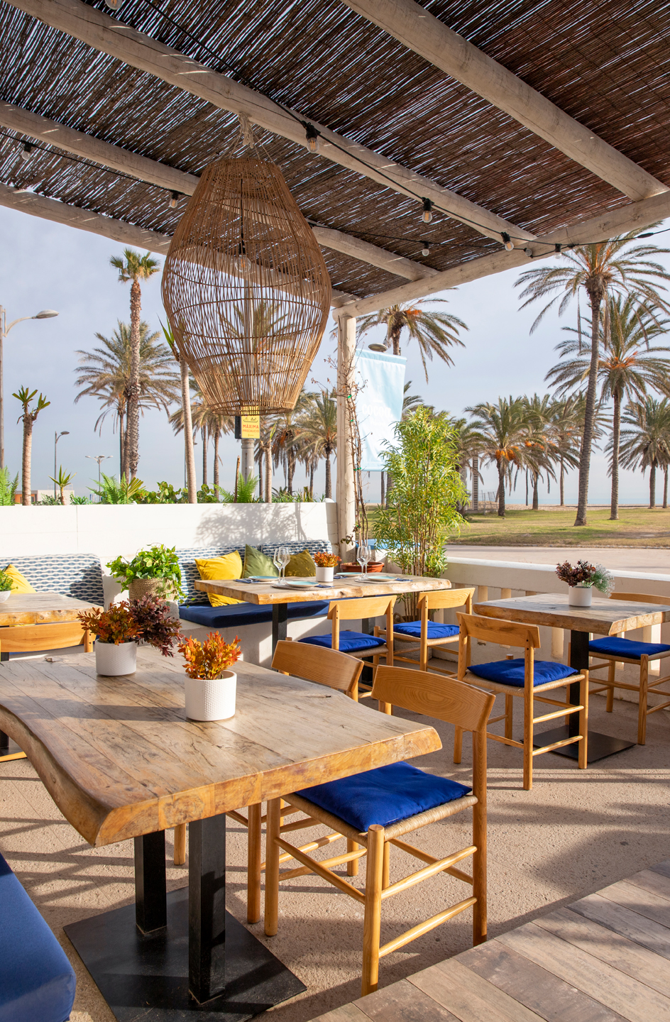 Fotografía de alimentación