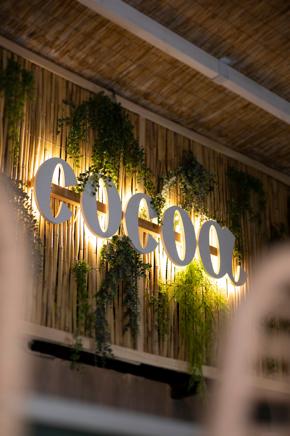 Fotografía de alimentación