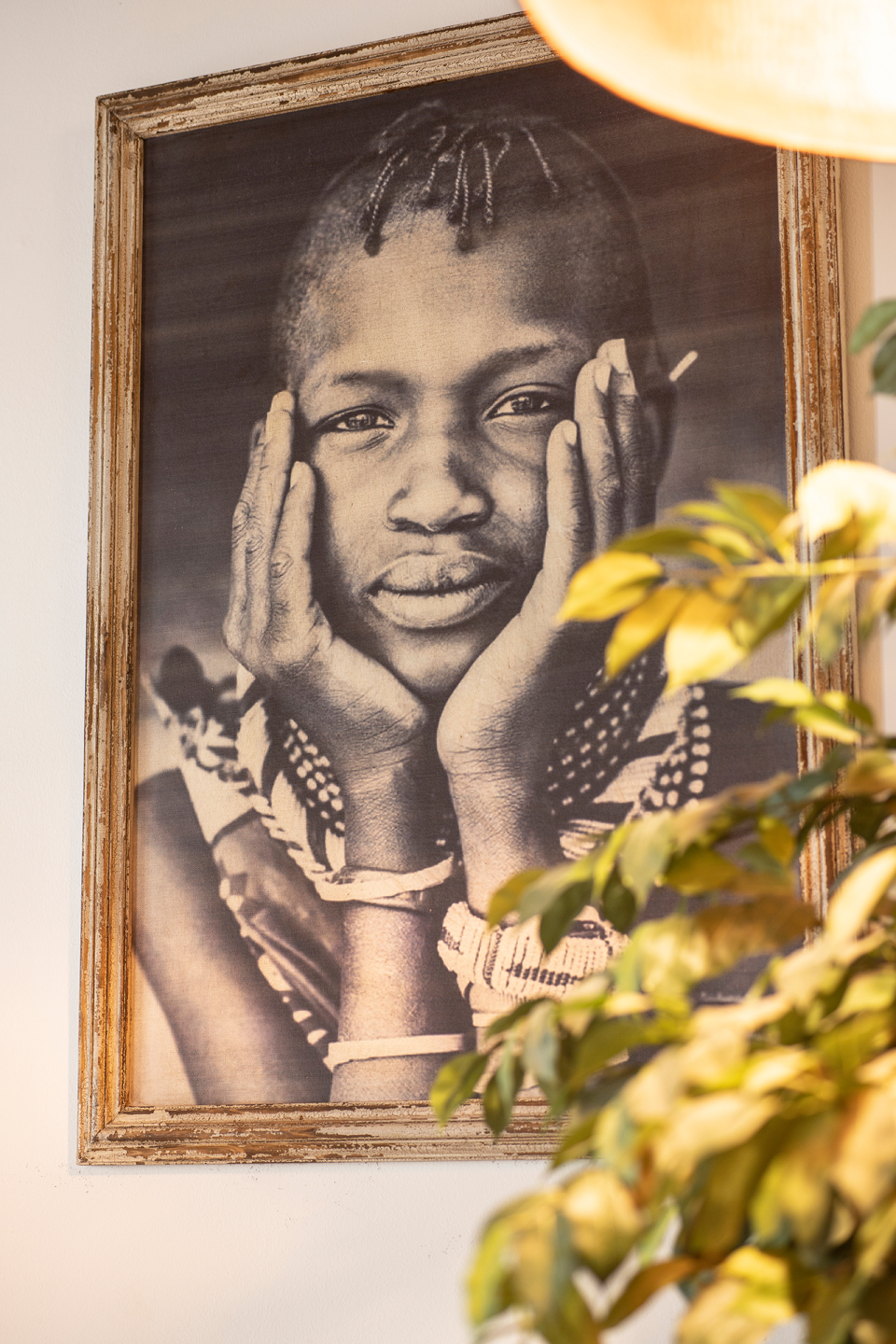 Fotografía de alimentación