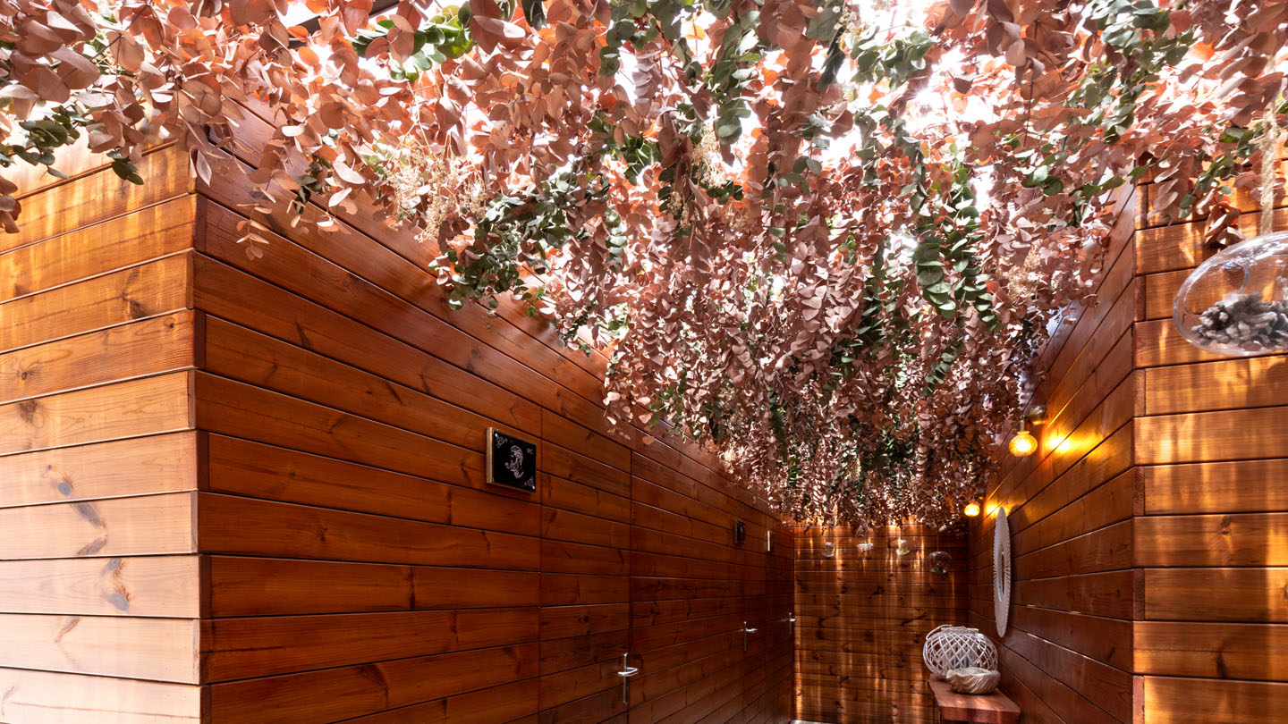 Fotografía de arquitectura