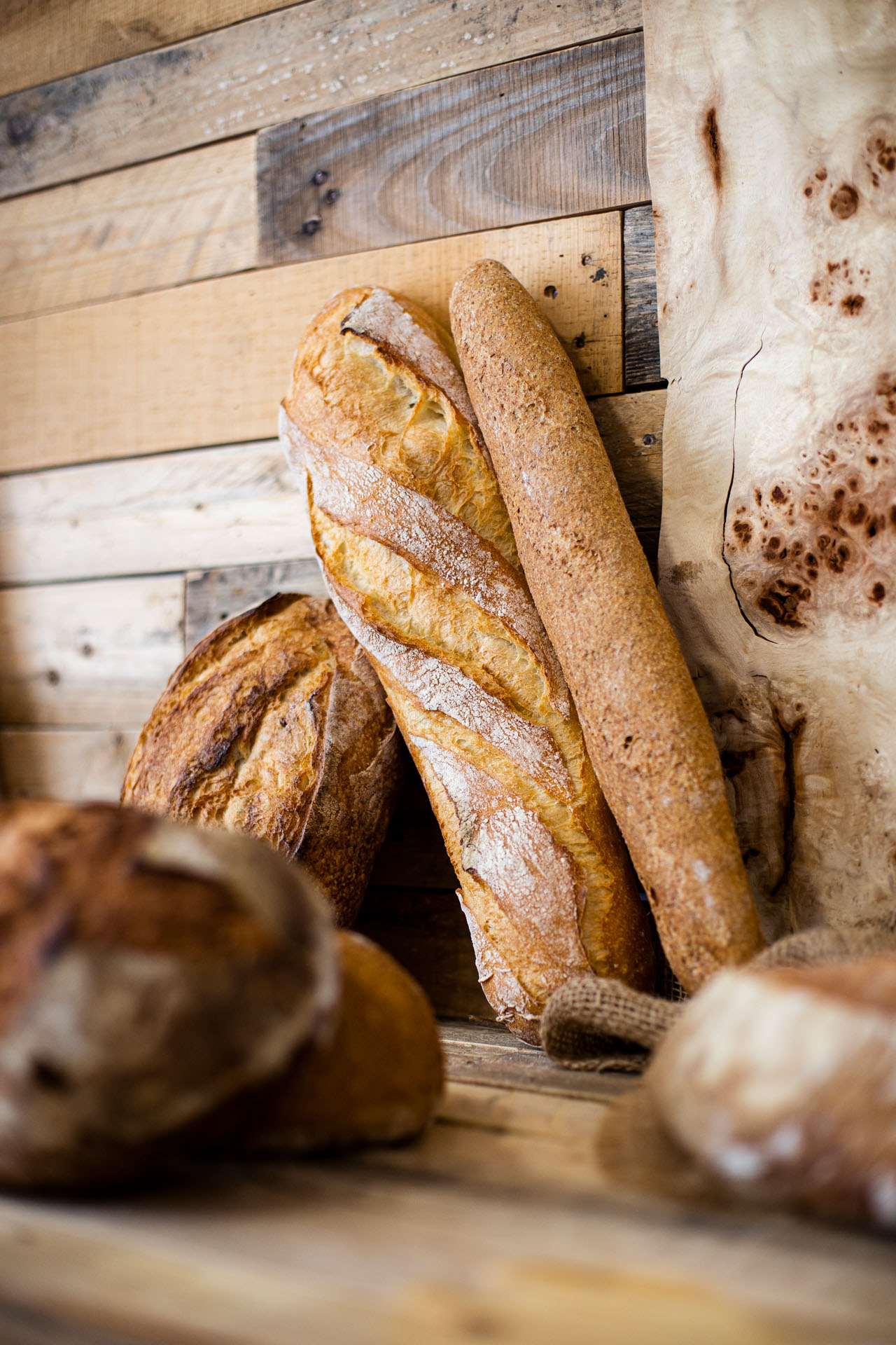 Fotografía de alimentación